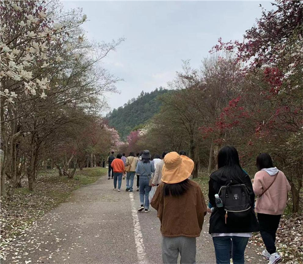 市古鎮(zhèn)投資公司開(kāi)展“三八”國(guó)際勞動(dòng)?jì)D女節(jié)系列慶?；顒?dòng)