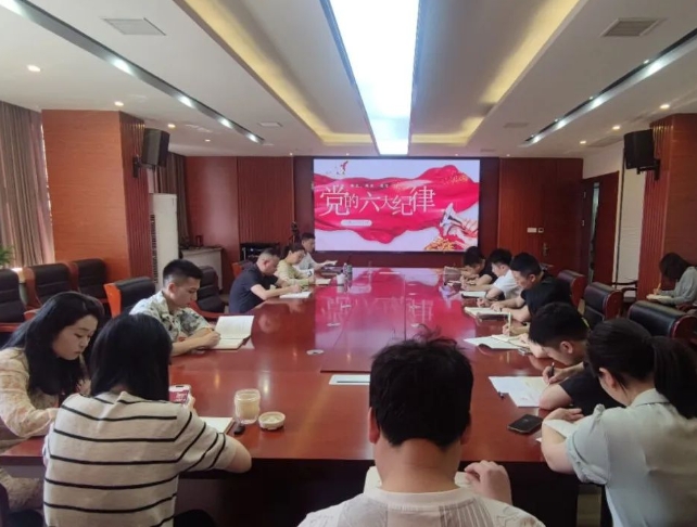 恪守“六大紀(jì)律”，筑牢思想根基--市古鎮(zhèn)投資公司行政黨支部組織開展黨記學(xué)習(xí)教育專題黨課